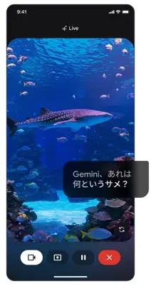 can-i-use-the-gemini-app-on-an-iphone-4