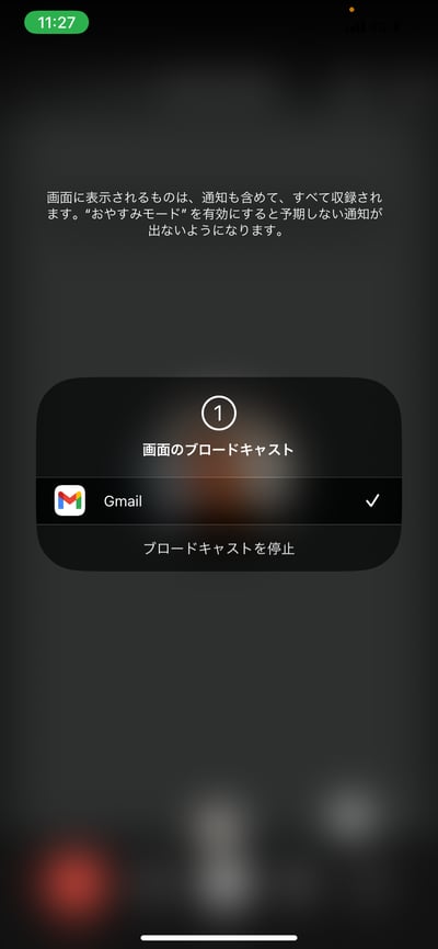 how-to-screen-share-on-google-meet06