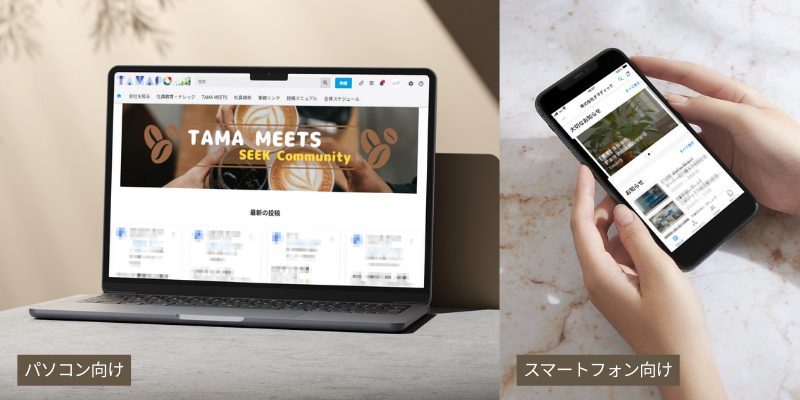 tamadic_image_800x400a