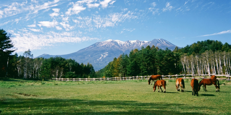 kiso-town_top_800x400